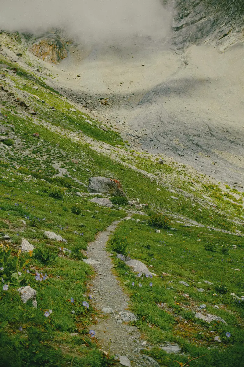 A narrow path winds through a green alpine meadow.